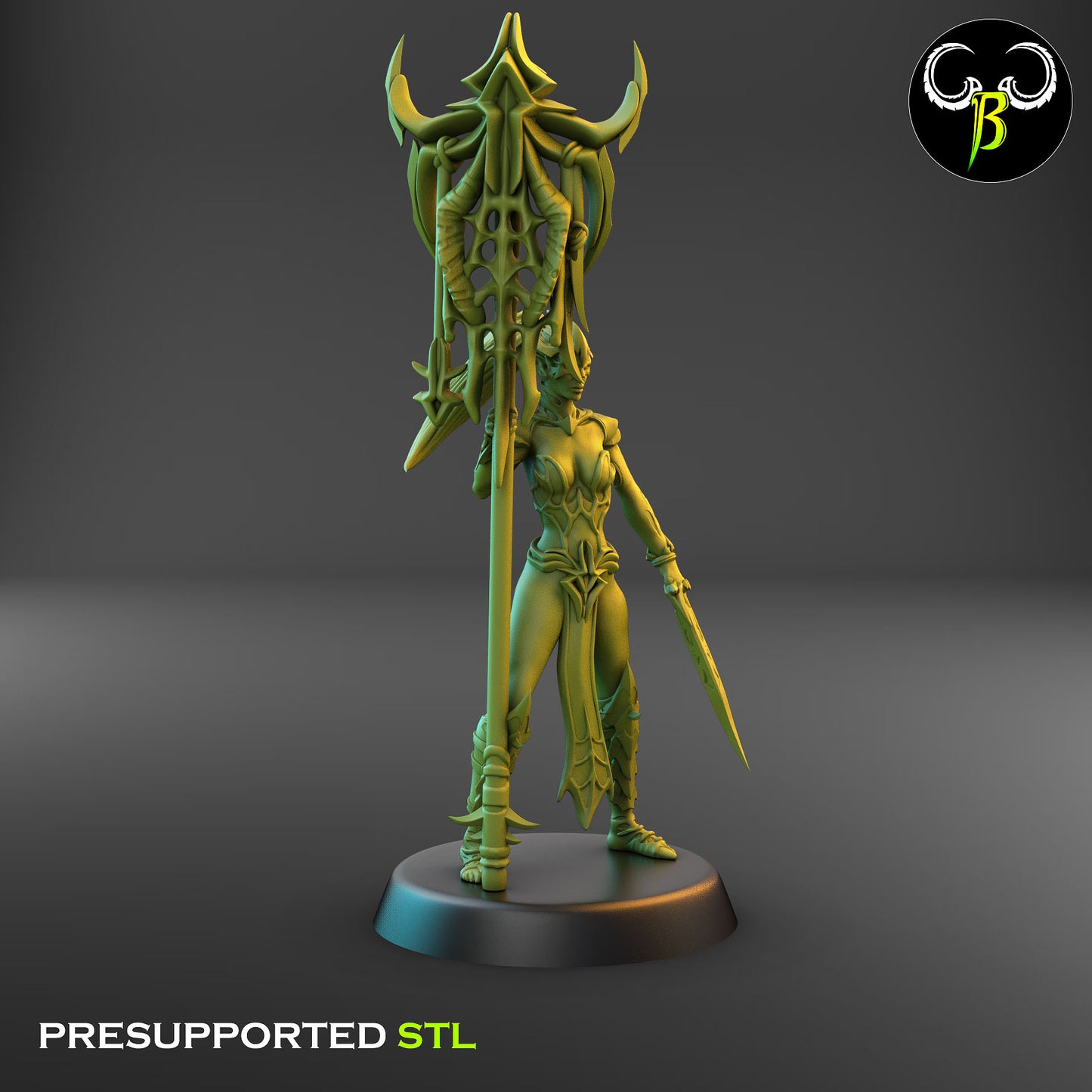 Dark Elf Female Cultist of the Web Bannerman
