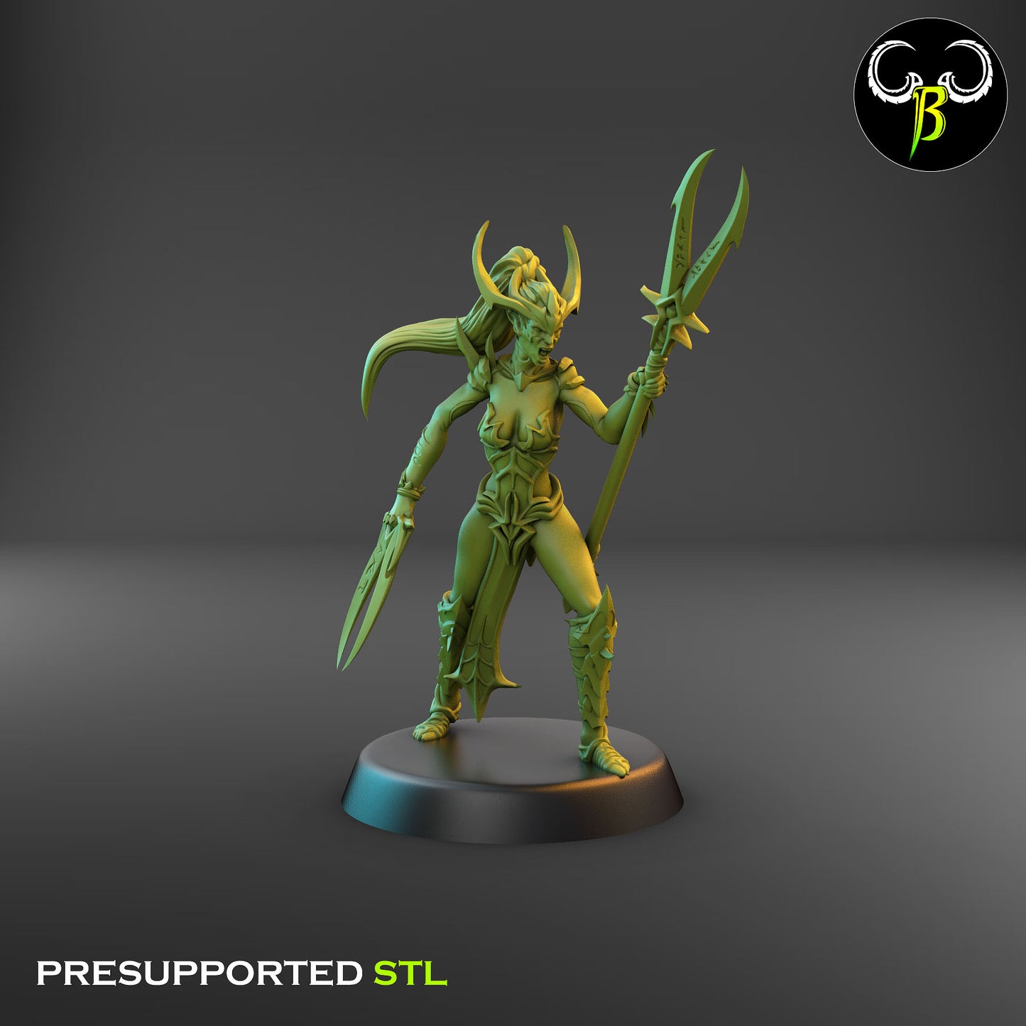 Dark Elf Female Cultist of the Web Champion