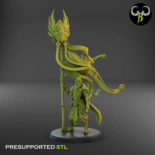 CB  Trail Captain - Elite Elven Warrior - Bannerman