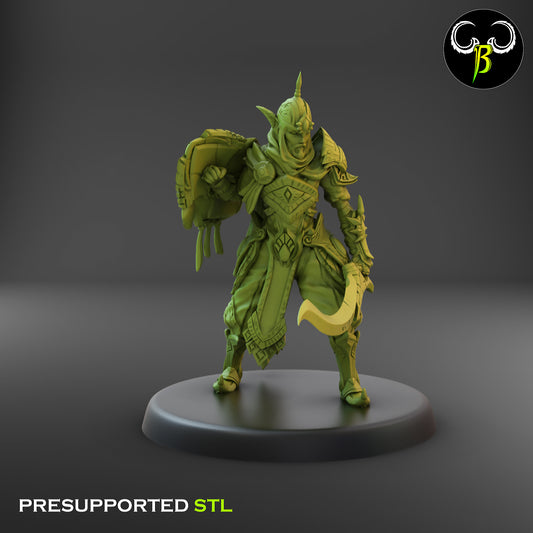 CB  Trail Captain - Elite Elven Warrior - Shield