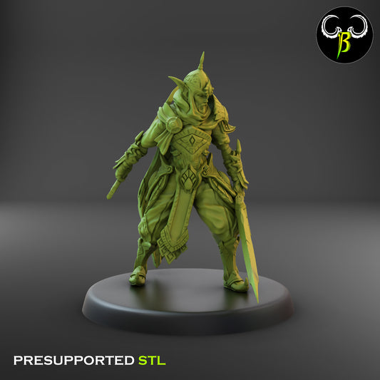 CB  Trail Captain - Elite Elven Warrior - Swords