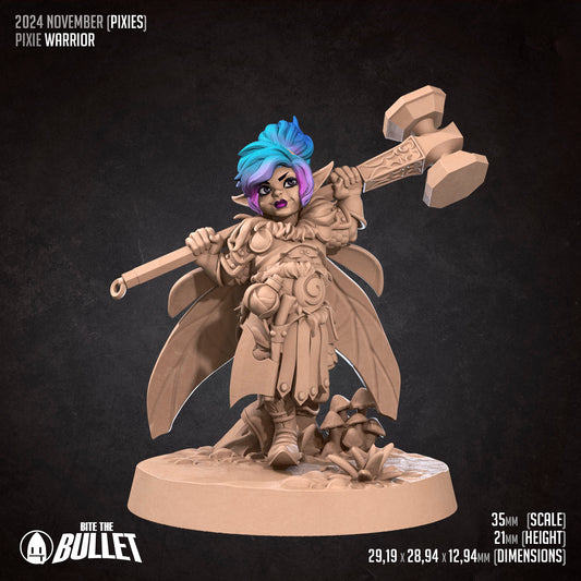 BTB Fairies - Pixie Warrior