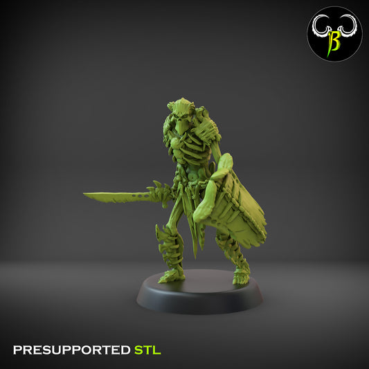 CB Marrow Knights - Boneguard Swordsman with Shield 3