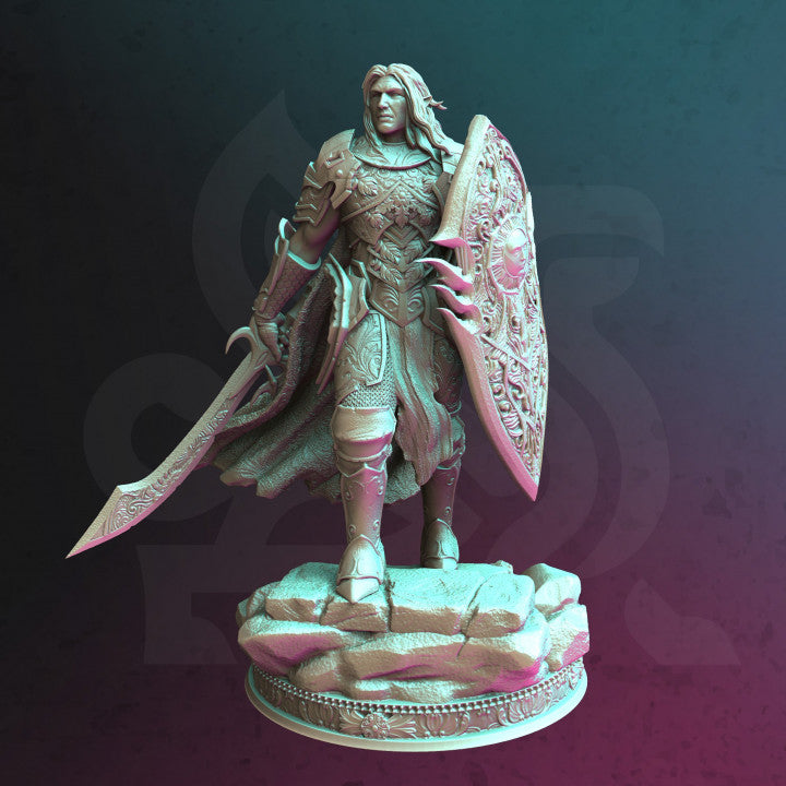 Elf Paladin