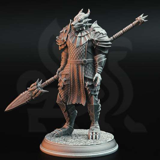 Dragonborn knight with spear - 2