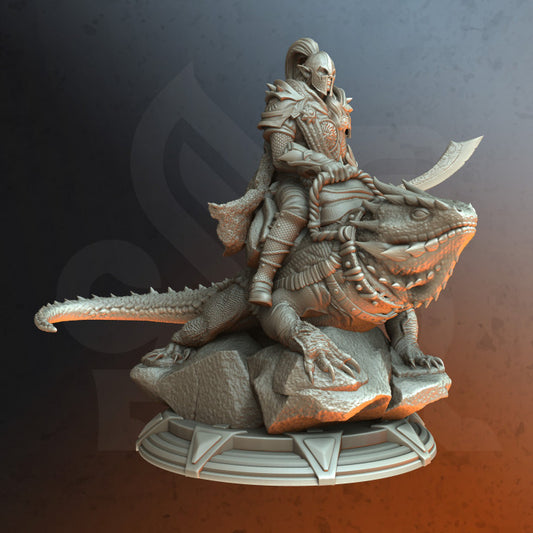Elf Lizard Rider