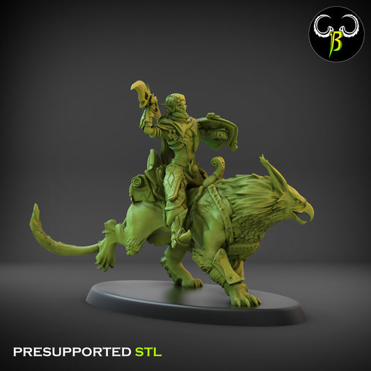 CB Dune Dancers - Sand Reaver - Gryph Riders - 5