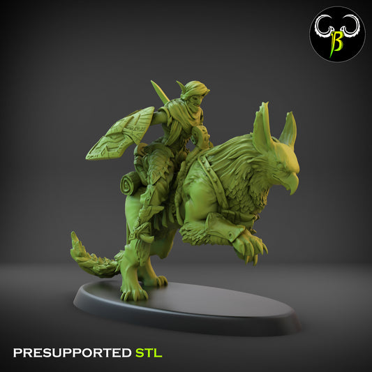 CB Dune Dancers - Sand Reaver - Gryph Riders - 6