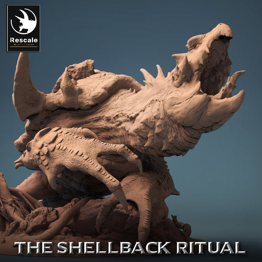 Dragon Turtle - Shellback - RS