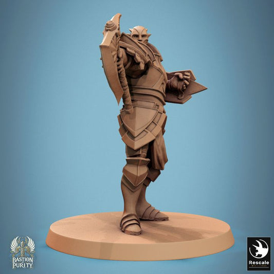 Bastion of Purity - Warrior - Axe - Taunt