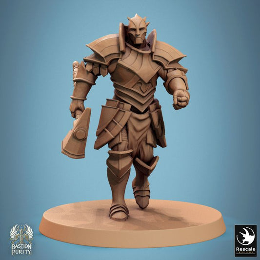 Bastion of Purity - Warrior - Great Hammer - Walking