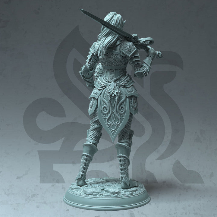 Fey Elf Paladin - No Cloak