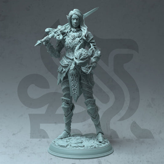 Fey Elf Paladin - No Cloak