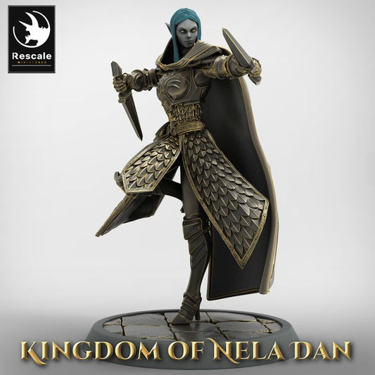 Elf Soldier duel dagger