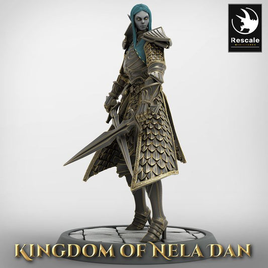 Elf Soldier dual Sword Stance