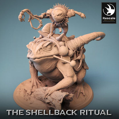 Shellback - Frog - Toad Rider - Battle Ready - Mounted