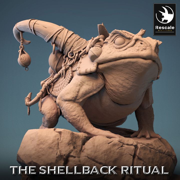 Shellback - Frog - Toad Rider - Saddle - Frogmaster