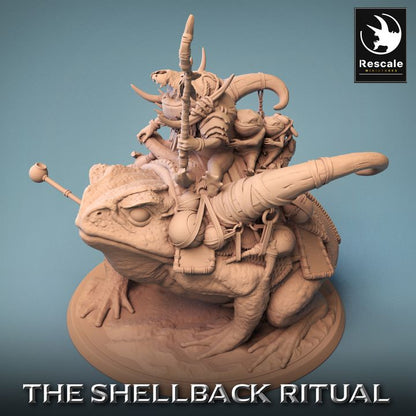 Shellback - Frog - Toad Rider - Mounted - Baby