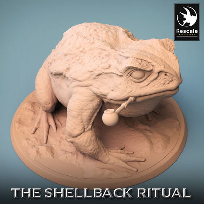 Shellback - Frog - Toad Rider - Wild Pipe - Trumpet
