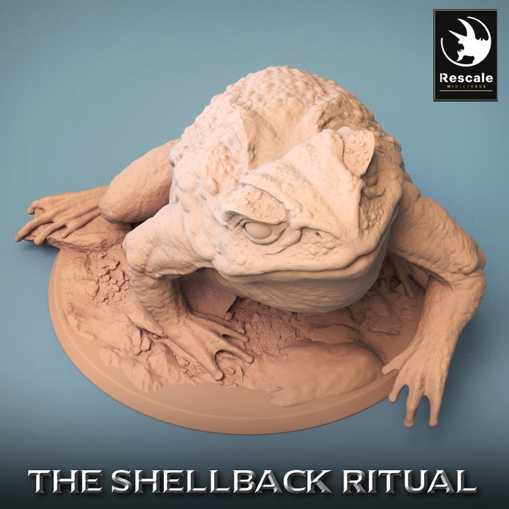 Shellback - Frog - Toad Rider - Wild - Trumpet