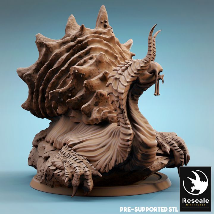 The Ocean Depths - Tortoise Snail - Lay