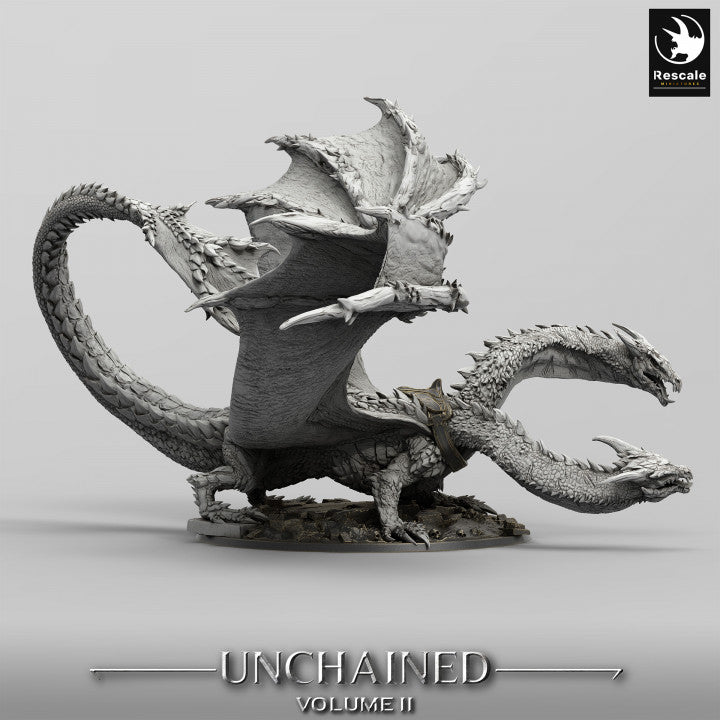 Unchained - Bialmulth - Two-Headed Dragon - Saddle