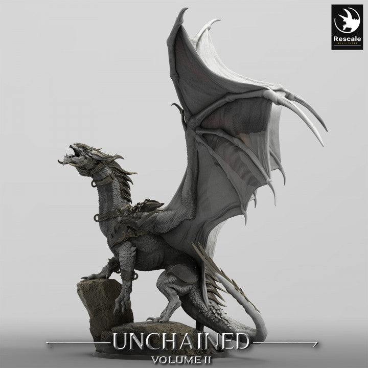 Unchained - War Dragon - Cry - Saddle