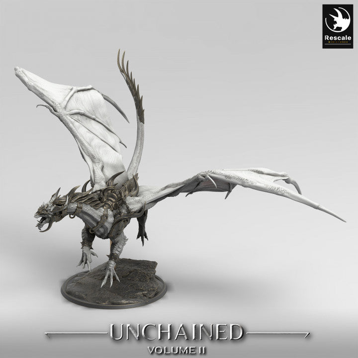 Unchained - War Dragon - Fly - Saddle