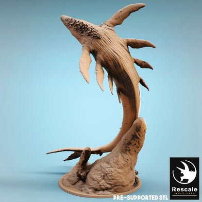 The Ocean Depths - Whale - Ascend