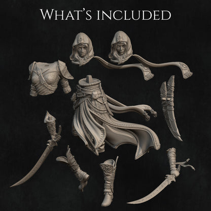 Dual Assassins [Creed] - Artemisia & Nasair