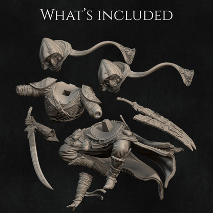 Dual Assassins [Creed] - Artemisia & Nasair