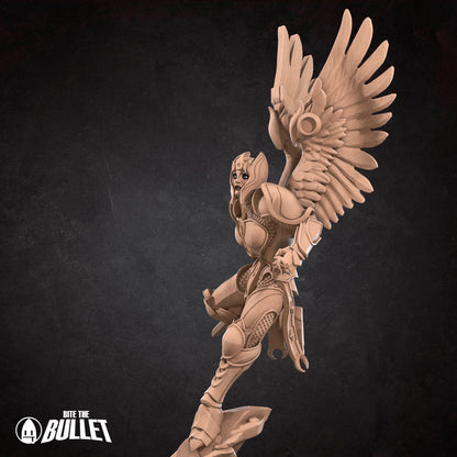 Angelic Aasimar Paladin