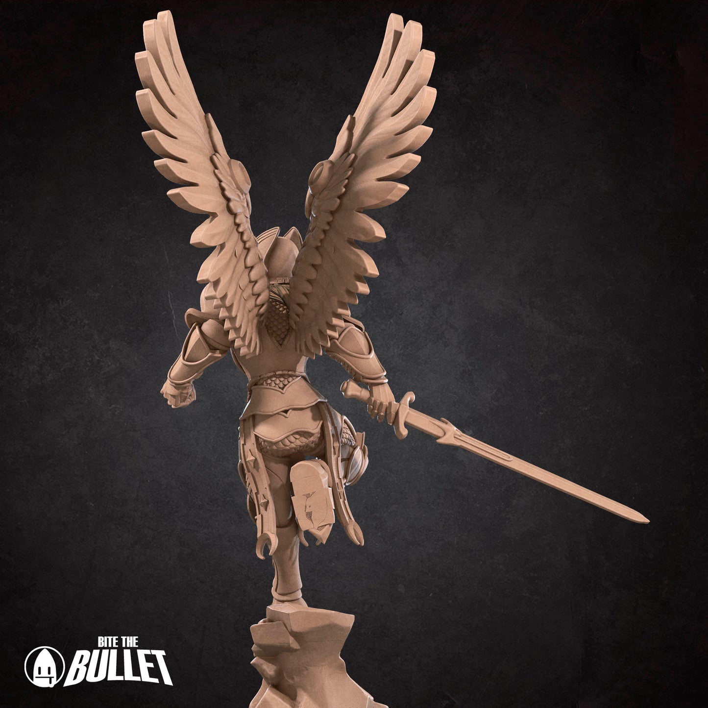 Angelic Aasimar Paladin