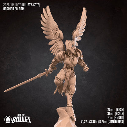 Angelic Aasimar Paladin