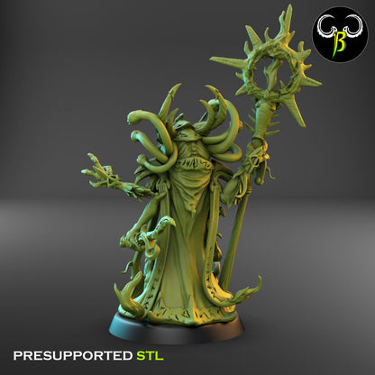 Apostle of Divination