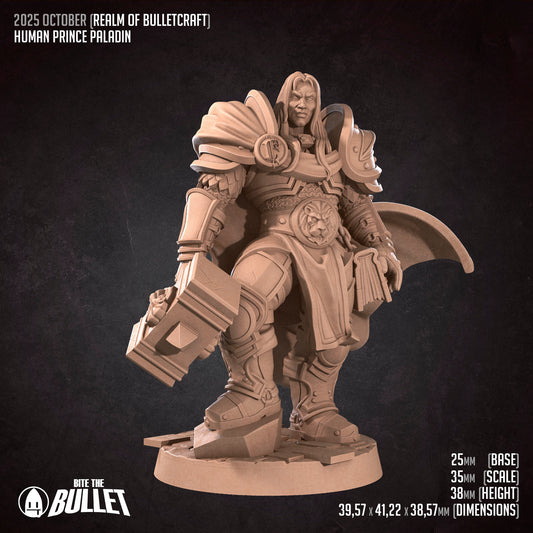 Human Paladin - Full Plate With Hammer