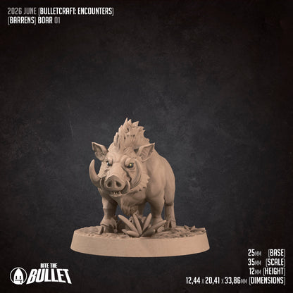 Young Boar