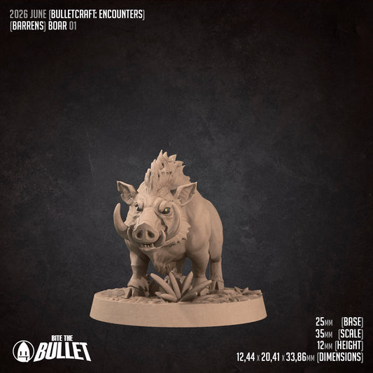 Young Boar