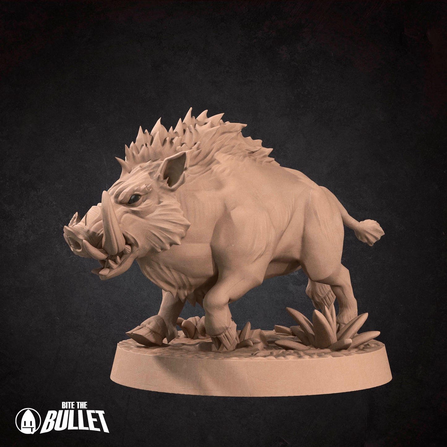 Adult Boar