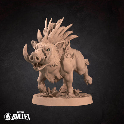 Adult Spine Boar