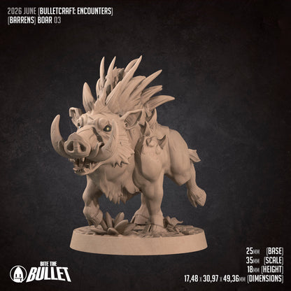 Adult Spine Boar