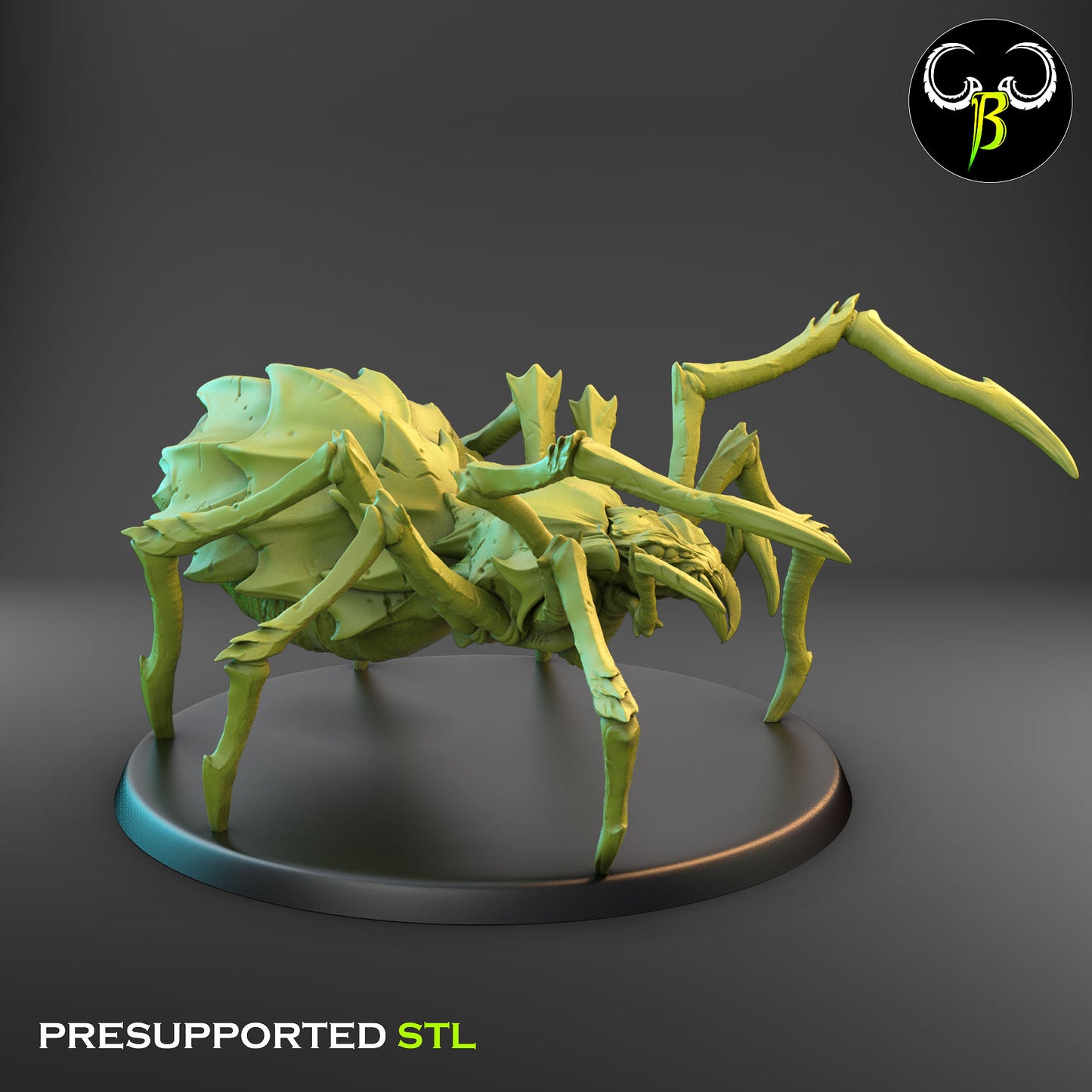 Cave Spider 1
