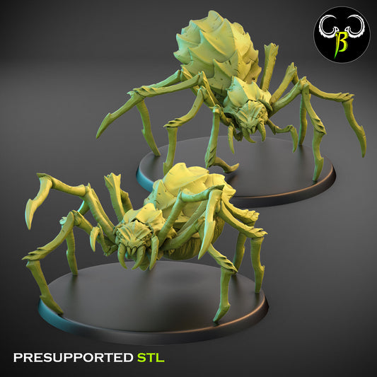 Cave Spider Bundle