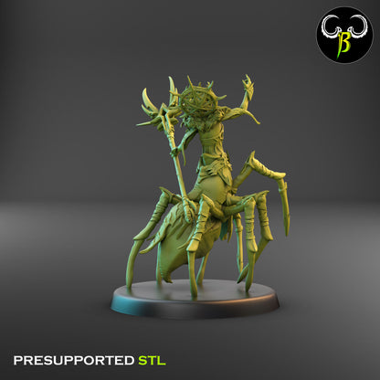 Drider Chosen of Maj - Drider Sorceress of the Cult of Eight