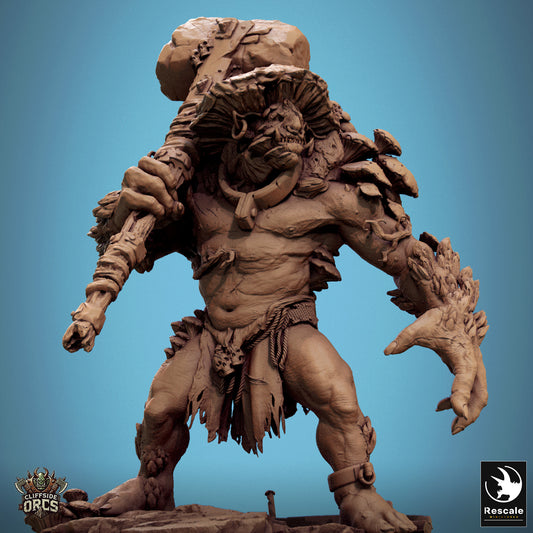 Fungal Ogre - Troll - Mycogar