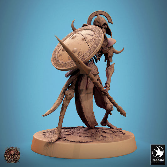 Persian Skeleton - Spear & Shield - Counter