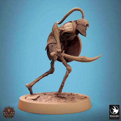 Persian Skeleton - Sword & Shield - Walk B