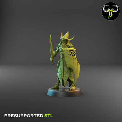 Dark Elf Cultist of the Web - Sword Bundle