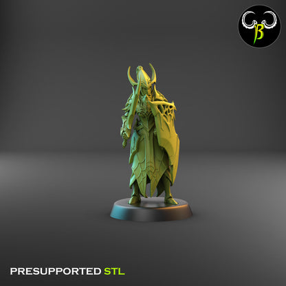 Dark Elf Cultist of the Web - Sword Bundle