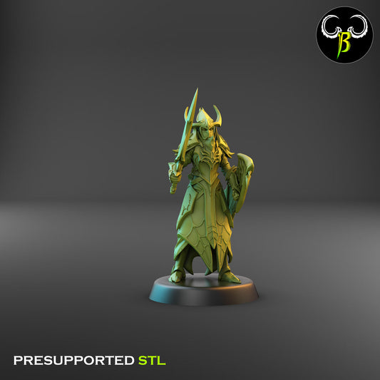 Dark Elf Cultist of the Web - Sword 2